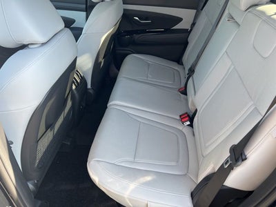 2025 Hyundai Santa Cruz Limited